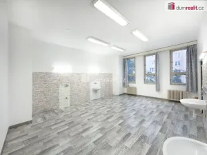 Pronájem obchodního prostoru, České Budějovice - České Budějovice 2, J. Opletala, 216 m2