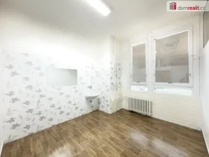 Pronájem obchodního prostoru, České Budějovice - České Budějovice 2, J. Opletala, 216 m2