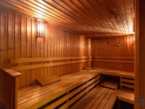 Pronájem bytu 1+kk, Praha - Žižkov, Kališnická, 32 m2