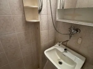 Prodej chaty, Blatno - Mezihoří, 70 m2