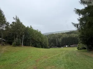 Prodej chaty, Blatno - Mezihoří, 70 m2
