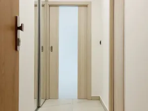Pronájem bytu 2+kk, Ostrava - Mariánské Hory, Daliborova, 65 m2