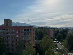 Pronájem bytu 1+kk, Třinec, Lidická, 17 m2