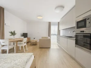 Pronájem bytu 1+kk, Brno, Auerswaldova, 38 m2