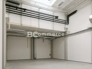 Pronájem skladu, Brno, 340 m2