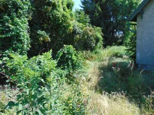 Dražba rodinného domu, Velký Borek, Skuhrovská, 91 m2