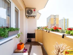 Prodej bytu 3+kk, Veselí nad Moravou, 54 m2