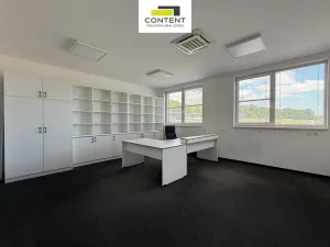 Pronájem výrobních prostor, Týn nad Vltavou - Malá Strana, Průmyslová, 4546 m2