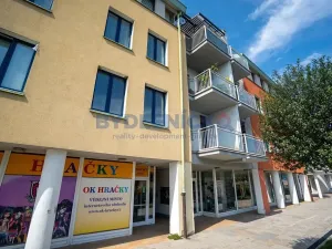 Prodej bytu 2+1, Písek, Čechova, 53 m2