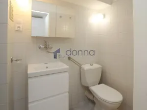 Pronájem bytu 1+1, Praha, K vodojemu, 58 m2