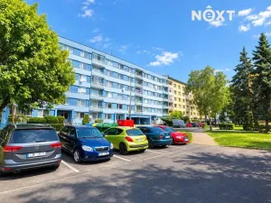 Pronájem bytu 1+kk, Žatec, Ostrov, 20 m2