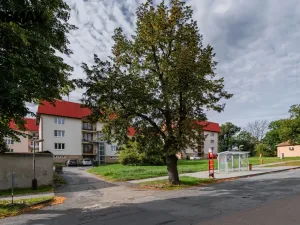 Prodej bytu 3+1, Odolena Voda - Dolínek, Náměstí Vítězslava Hálka, 77 m2