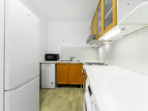 Prodej bytu 2+kk, Kralupy nad Vltavou - Lobeček, J. Holuba, 40 m2