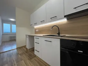Pronájem bytu 1+kk, Třinec, Lidická, 44 m2