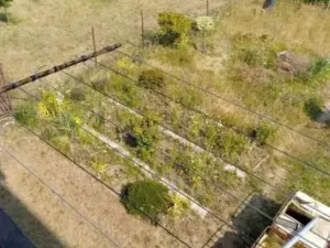 Dražba bytu 2+1, Rybitví, Školní, 51 m2