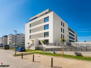 Prodej bytu 1+kk, Plzeň, Železná, 34 m2
