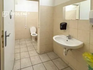 Pronájem restaurace, Teplice, Masarykova třída, 100 m2