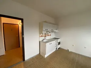 Pronájem bytu 1+kk, Liberec, Dobiášova, 20 m2