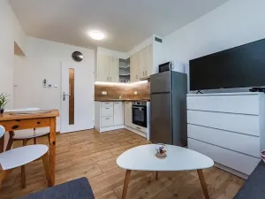 Pronájem bytu 1+kk, Měchenice, Vltavská, 29 m2