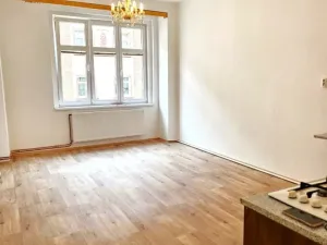Pronájem bytu 2+kk, Plzeň - Jižní Předměstí, Vrchlického, 52 m2