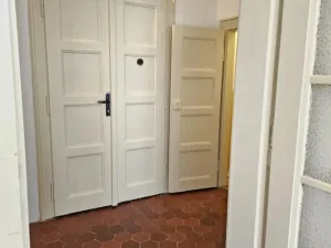 Pronájem bytu 2+kk, Plzeň - Jižní Předměstí, Vrchlického, 52 m2