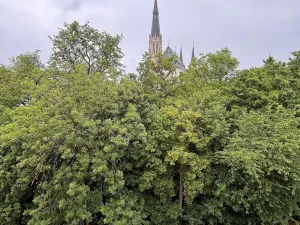 Pronájem bytu 2+kk, Olomouc, Dobrovského, 50 m2