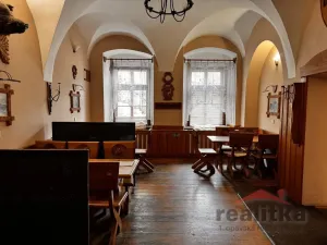 Pronájem restaurace, Opava, Dolní náměstí, 191 m2