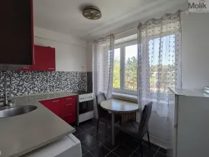 Prodej bytu 2+1, Bílina - Teplické Předměstí, M. Švabinského, 59 m2