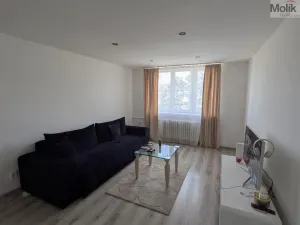 Prodej bytu 2+1, Bílina - Teplické Předměstí, M. Švabinského, 59 m2