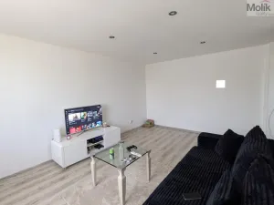 Prodej bytu 2+1, Bílina - Teplické Předměstí, M. Švabinského, 59 m2