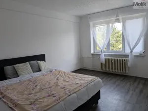 Prodej bytu 2+1, Bílina - Teplické Předměstí, M. Švabinského, 59 m2