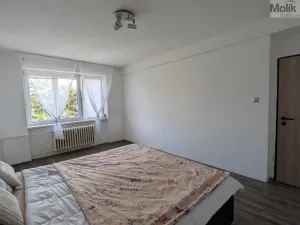 Prodej bytu 2+1, Bílina - Teplické Předměstí, M. Švabinského, 59 m2