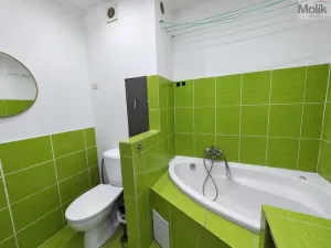 Prodej bytu 2+1, Bílina - Teplické Předměstí, M. Švabinského, 59 m2
