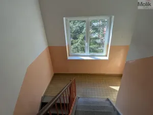 Prodej bytu 2+1, Bílina - Teplické Předměstí, M. Švabinského, 59 m2