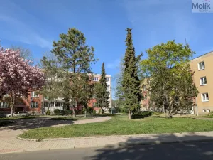 Prodej bytu 2+1, Bílina - Teplické Předměstí, M. Švabinského, 59 m2