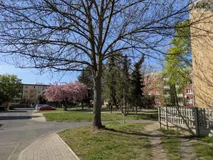 Prodej bytu 2+1, Bílina - Teplické Předměstí, M. Švabinského, 59 m2