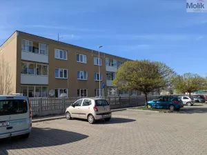Prodej bytu 2+1, Bílina - Teplické Předměstí, M. Švabinského, 59 m2