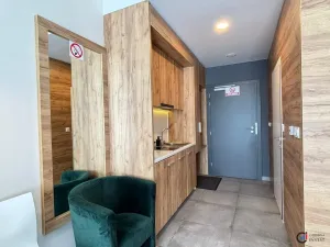 Prodej bytu 1+kk, Dolní Morava, 28 m2