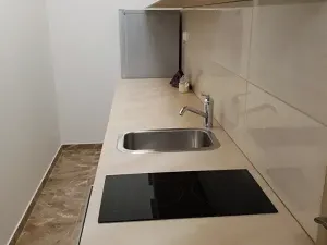 Pronájem bytu 1+kk, Praha - Žižkov, Hájkova, 40 m2