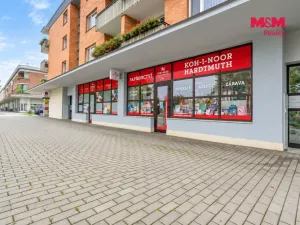 Prodej obchodního prostoru, Otrokovice, Tylova, 750 m2
