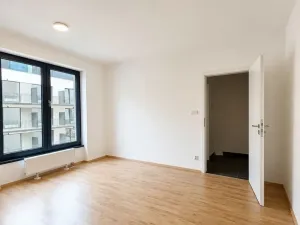 Pronájem bytu 1+kk, Plzeň - Jižní Předměstí, Železná, 28 m2