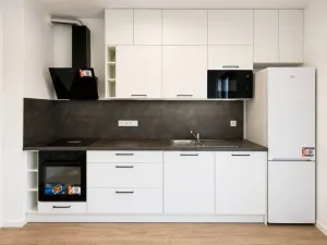Pronájem bytu 1+kk, Plzeň - Jižní Předměstí, Železná, 28 m2