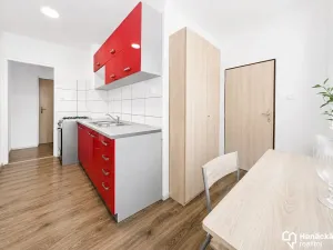 Prodej bytu 2+1, Šternberk, U Střelnice, 46 m2