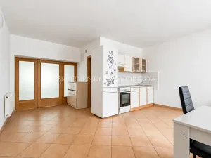 Prodej vícegeneračního domu, Jihlava, Brněnská, 300 m2