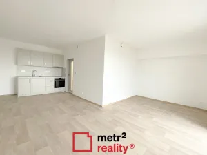 Pronájem bytu 1+kk, Olomouc, U solných mlýnů, 41 m2