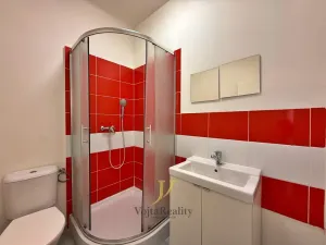 Pronájem bytu 1+kk, Olomouc, Sokolská, 20 m2