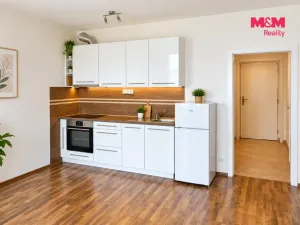 Prodej bytu 1+kk, Praha - Horní Měcholupy, Modenská, 36 m2