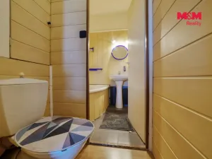 Prodej bytu 2+1, Tachov, Bělojarská, 63 m2