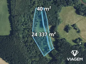 Prodej podílu lesa, Sudislav nad Orlicí, 21329 m2