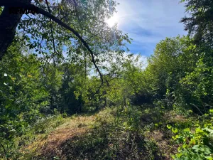 Prodej chaty, Kestřany - Zátaví, 48 m2